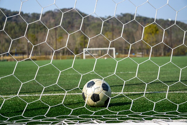 的速度的确 的速度的确