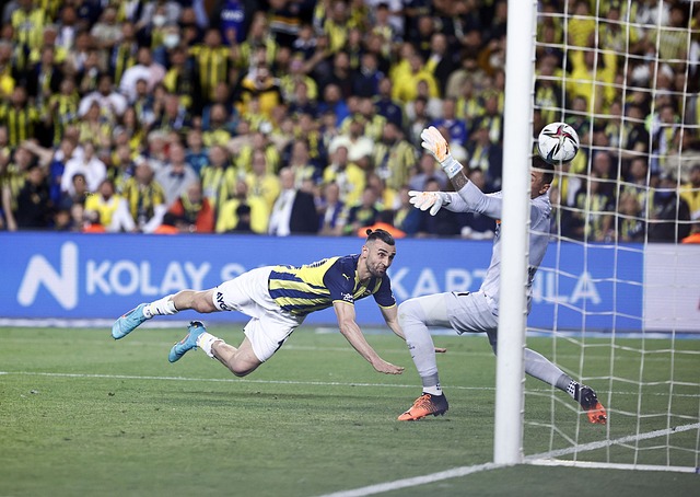 荷兰队胜利 荷兰队胜利