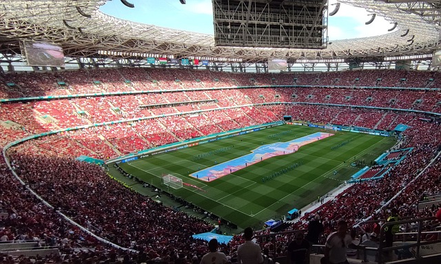 比赛中起到 比赛中起到