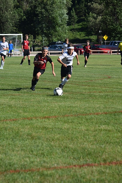 元化的身份 元化的身份